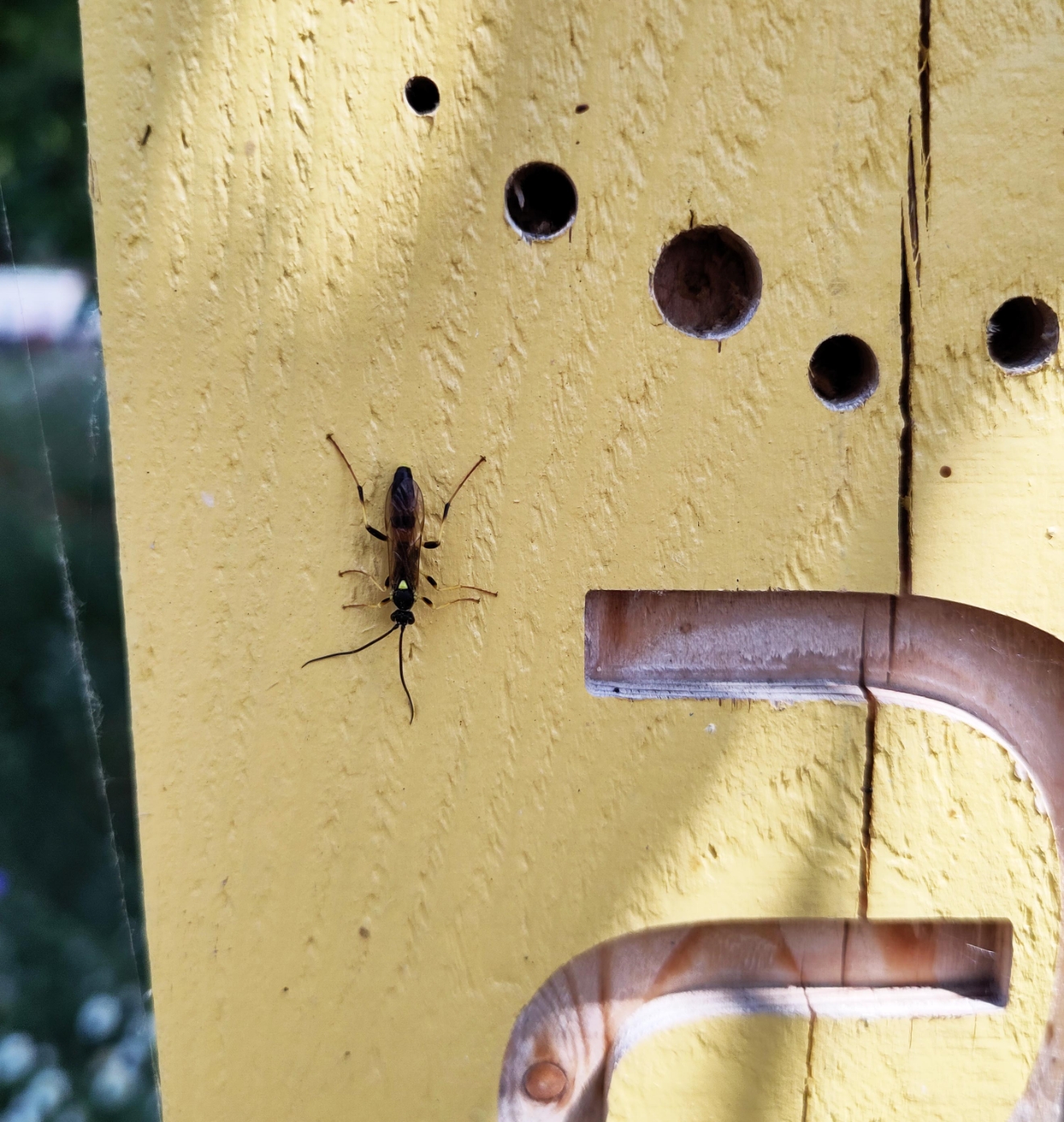 The image representing the page, Products for, Niche.