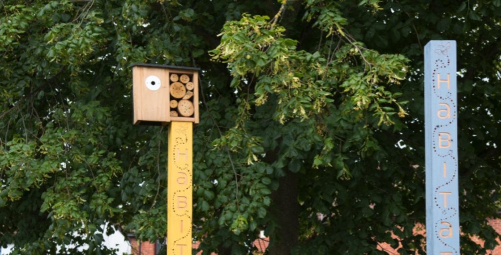 A photograph showing the arm of Niche, Niche Habitat