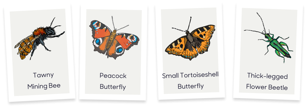 A photograph showing the arm of Niche, Niche Knowledge