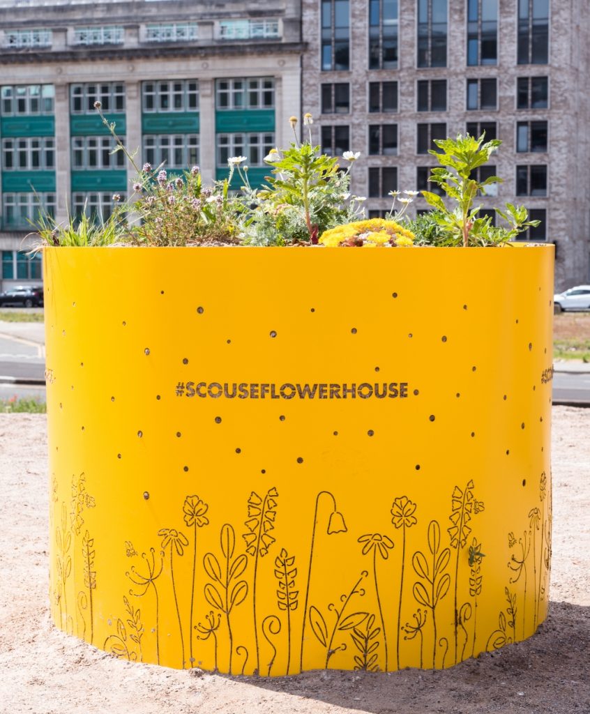 A photograph of the Niche product, Bee sand planters (For ground nesting bees)